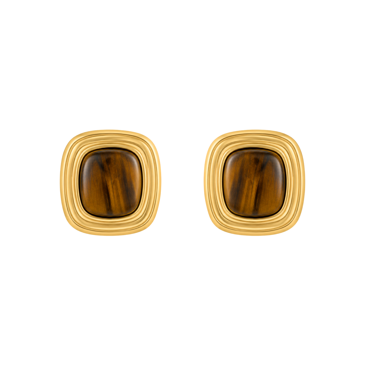Framed Tiger Eye Earrings