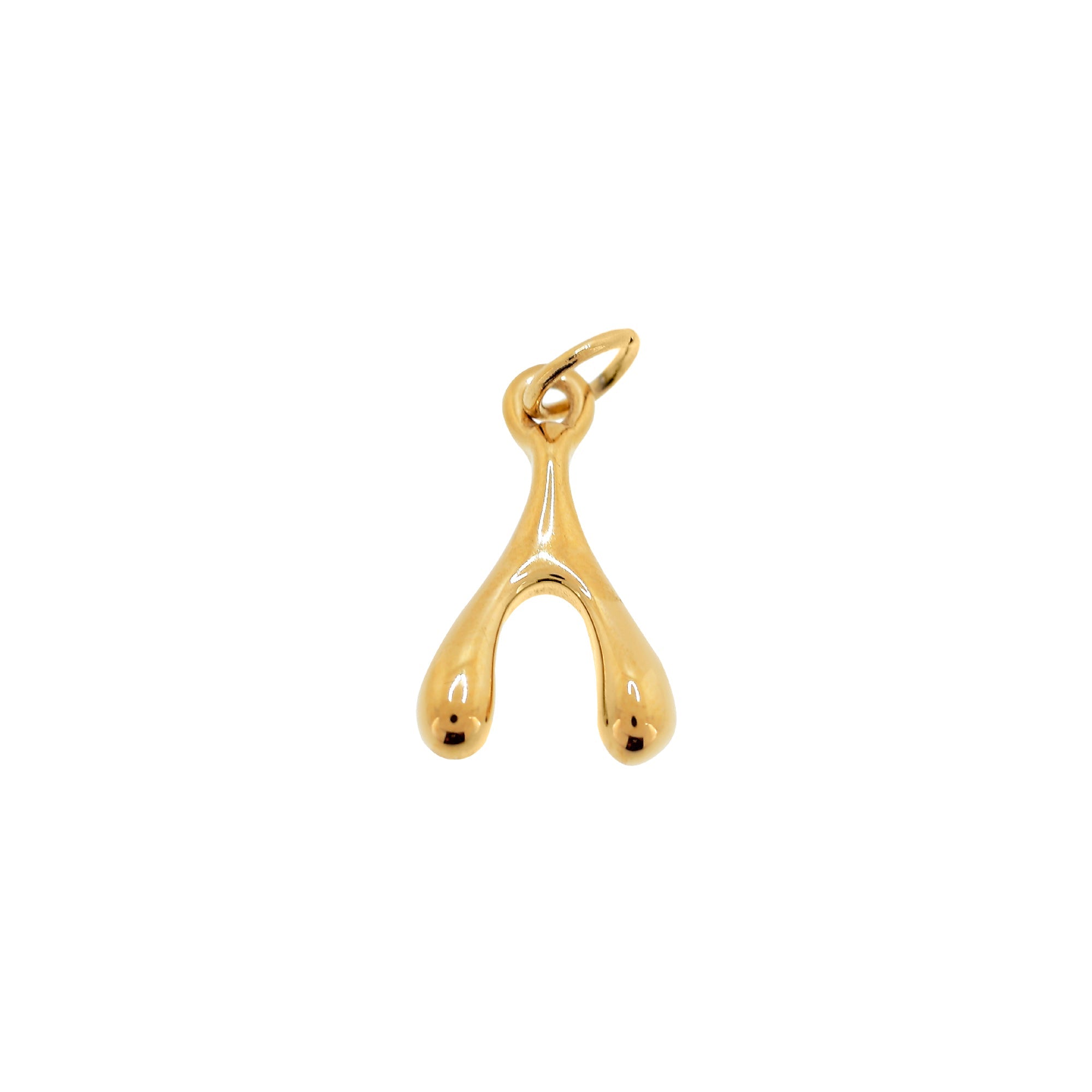 LUCKY BONE GOLD Charm *M