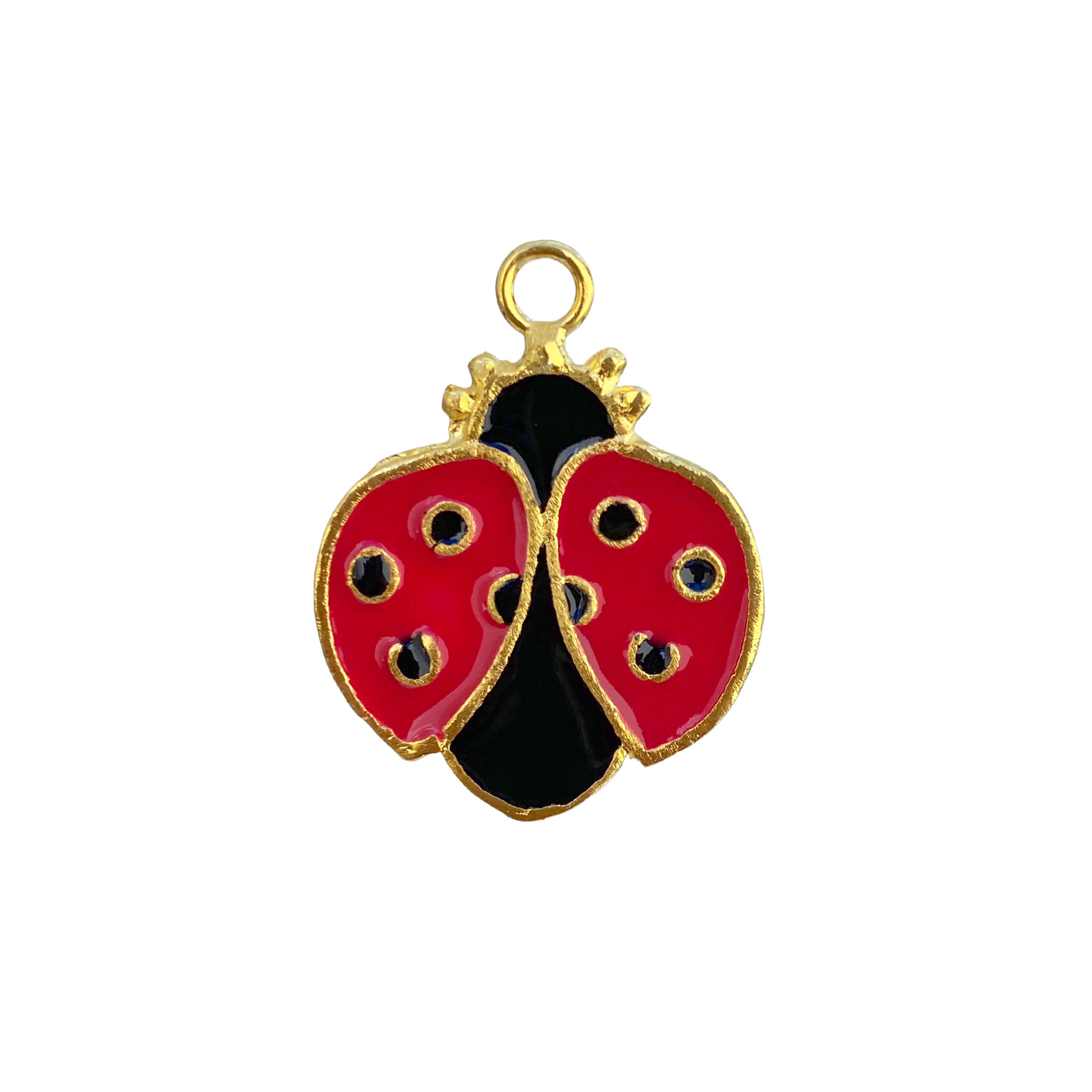 LadyBug Charm
