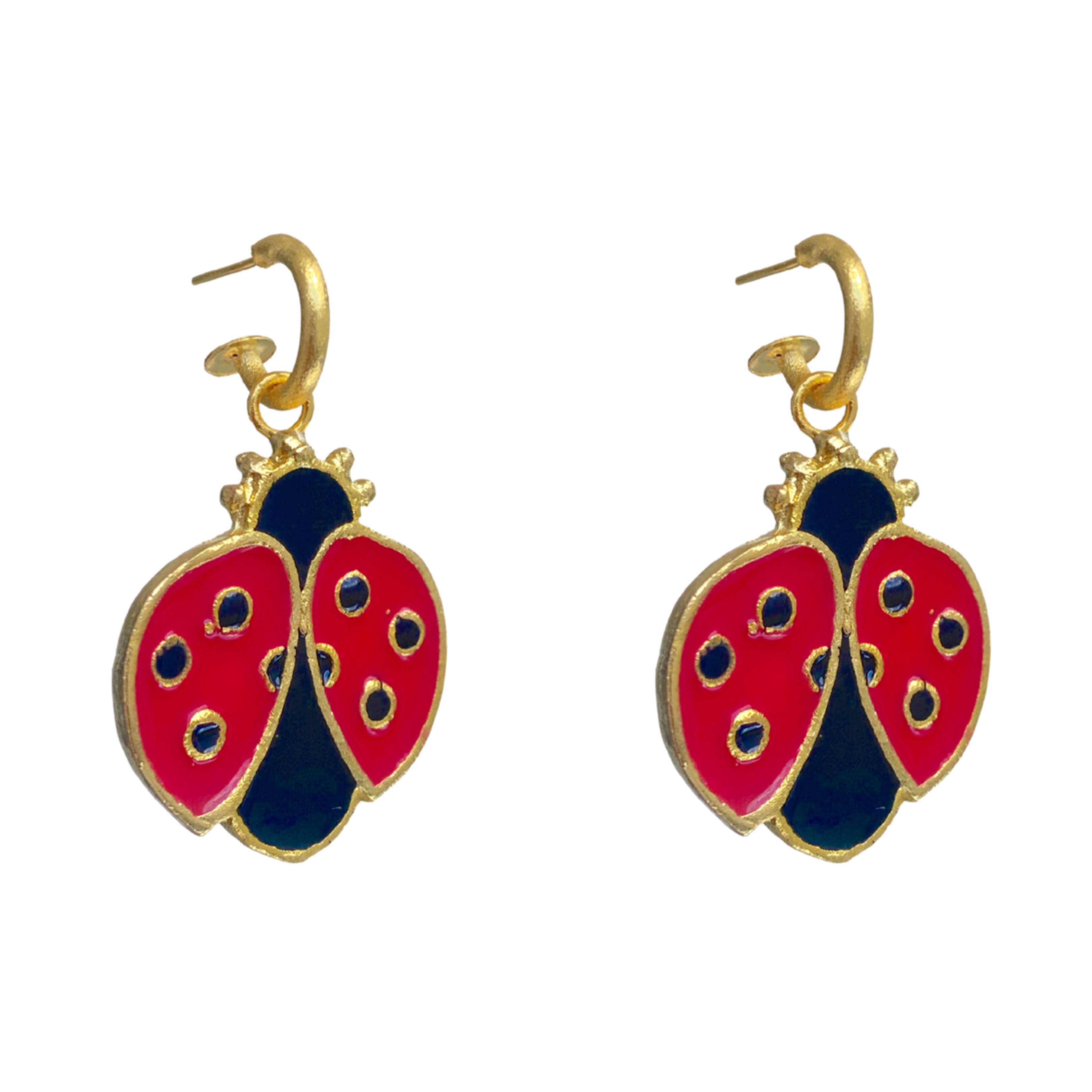 LadyBug Charm